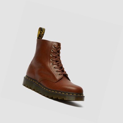 Dr Martens 1460 Pascal Ziggy Snørestøvletter Herre Brune | 201967PDW